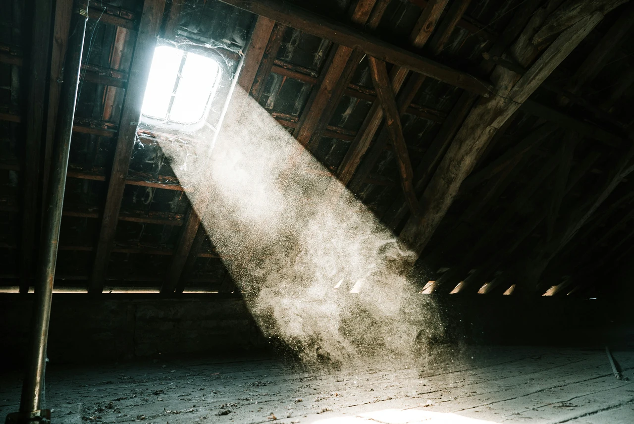 Come eliminare definitivamente gli acari in casa: i consigli degli esperti Come eliminare definitivamente gli acari in casa: i consigli degli esperti