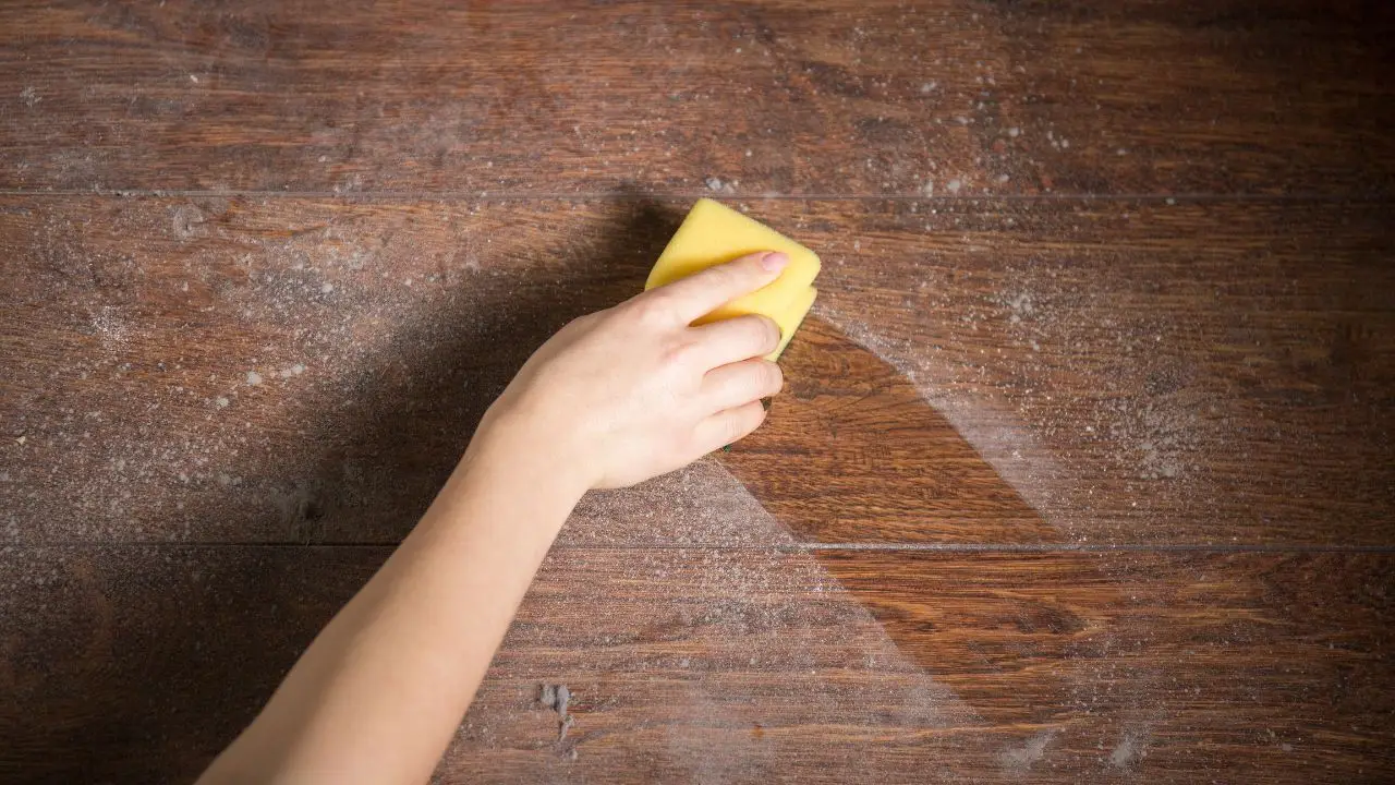Come eliminare definitivamente gli acari in casa: i consigli degli esperti Come eliminare definitivamente gli acari in casa: i consigli degli esperti