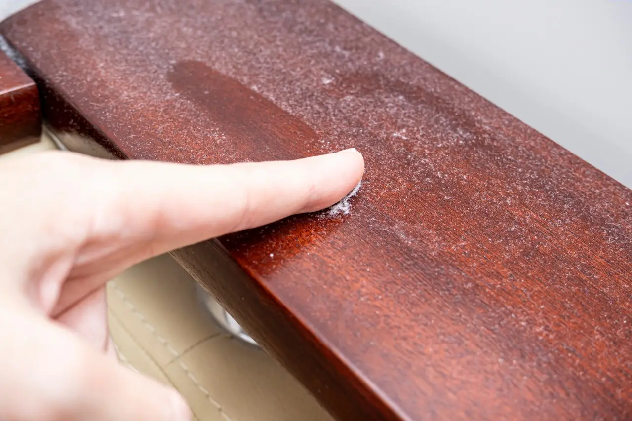 Come eliminare definitivamente gli acari in casa: i consigli degli esperti Come eliminare definitivamente gli acari in casa: i consigli degli esperti