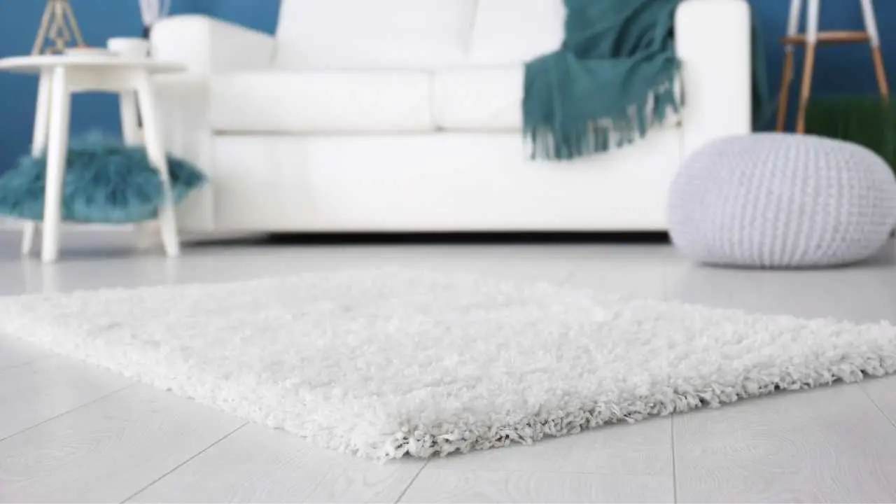 Il metodo più efficace per pulire a fondo i tappeti senza rovinarli Il metodo più efficace per pulire a fondo i tappeti senza rovinarli