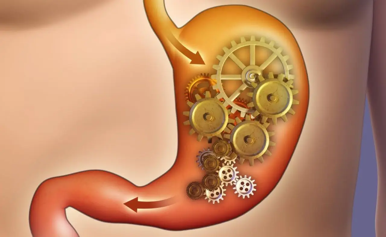 Cinque segnali che indicano un metabolismo troppo lento e come accelerarlo Cinque segnali che indicano un metabolismo troppo lento e come accelerarlo