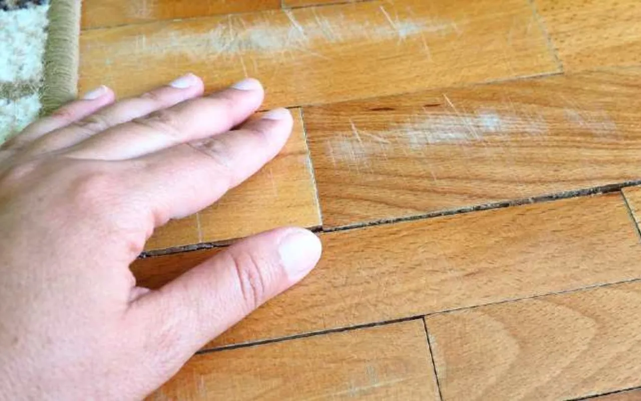 5 strategie per proteggere i pavimenti in legno dal caldo estivo: il suggerimento dell’architetto per giugno 5 strategie per proteggere i pavimenti in legno dal caldo estivo: il suggerimento dell’architetto per giugno