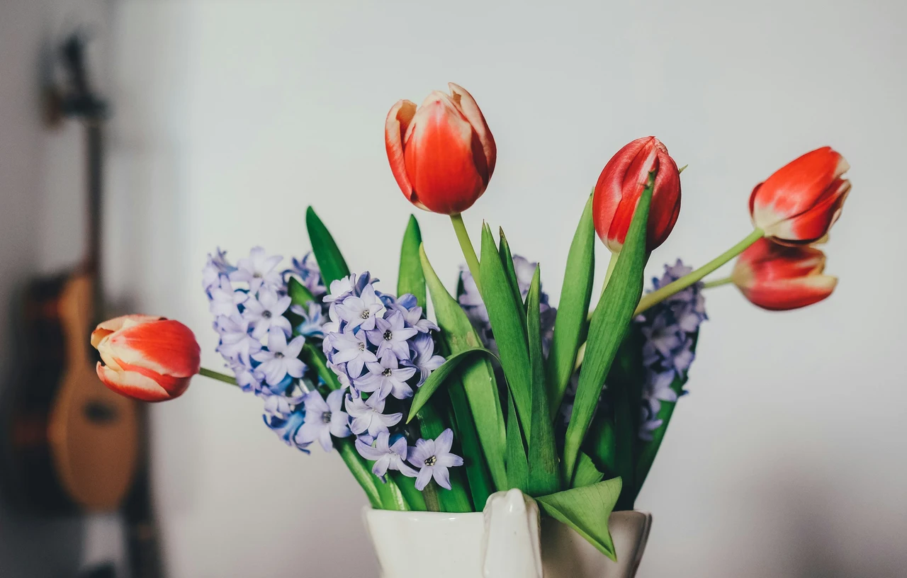 Come mantenere i fiori recisi freschi più a lungo in estate: il metodo del fiorista per giugno Come mantenere i fiori recisi freschi più a lungo in estate: il metodo del fiorista per giugno