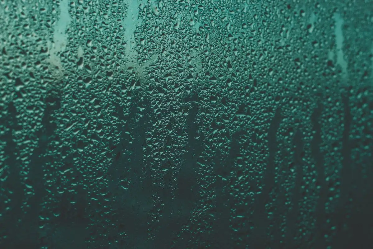 Come prevenire l’umidità nei mobili durante l’estate: il consiglio dell’igienista ambientale Come prevenire l’umidità nei mobili durante l’estate: il consiglio dell’igienista ambientale
