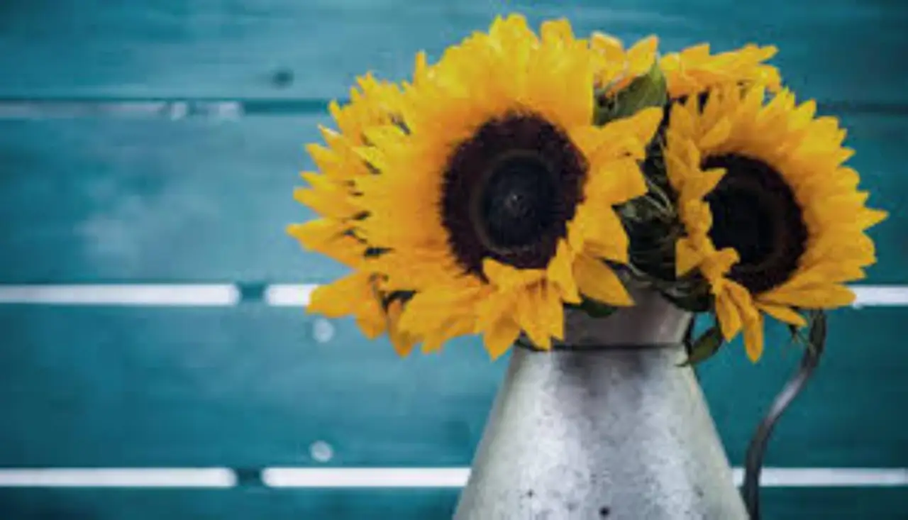 Come mantenere i fiori recisi freschi più a lungo in estate: il metodo del fiorista per giugno Come mantenere i fiori recisi freschi più a lungo in estate: il metodo del fiorista per giugno