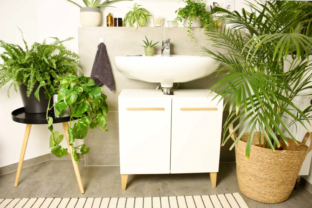 Bagno più luminoso d’estate senza lavori: la soluzione lampo dei designer per piccoli spazi nel 2025 Bagno più luminoso d’estate senza lavori: la soluzione lampo dei designer per piccoli spazi nel 2025