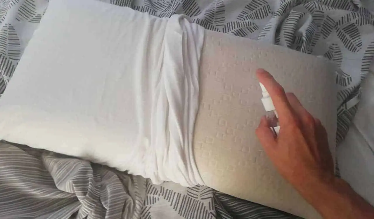 Come mantenere freschi i cuscini nelle notti calde: il metodo naturale raccomandato dagli allergologi Come mantenere freschi i cuscini nelle notti calde: il metodo naturale raccomandato dagli allergologi