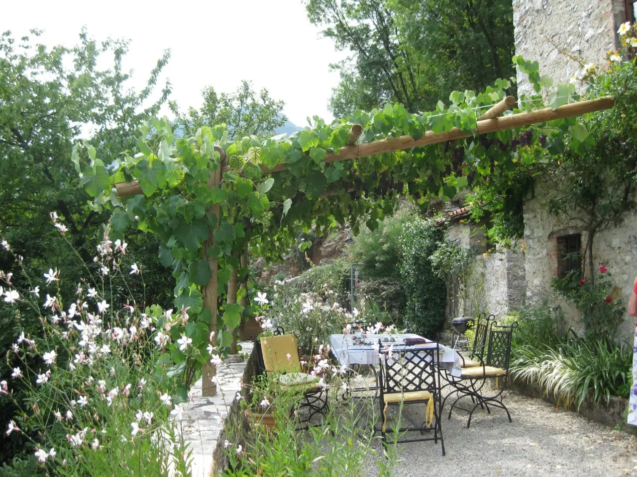 Come proteggere i mobili da giardino dal sole intenso: il sistema dei vivaisti aggiornato per giugno Come proteggere i mobili da giardino dal sole intenso: il sistema dei vivaisti aggiornato per giugno