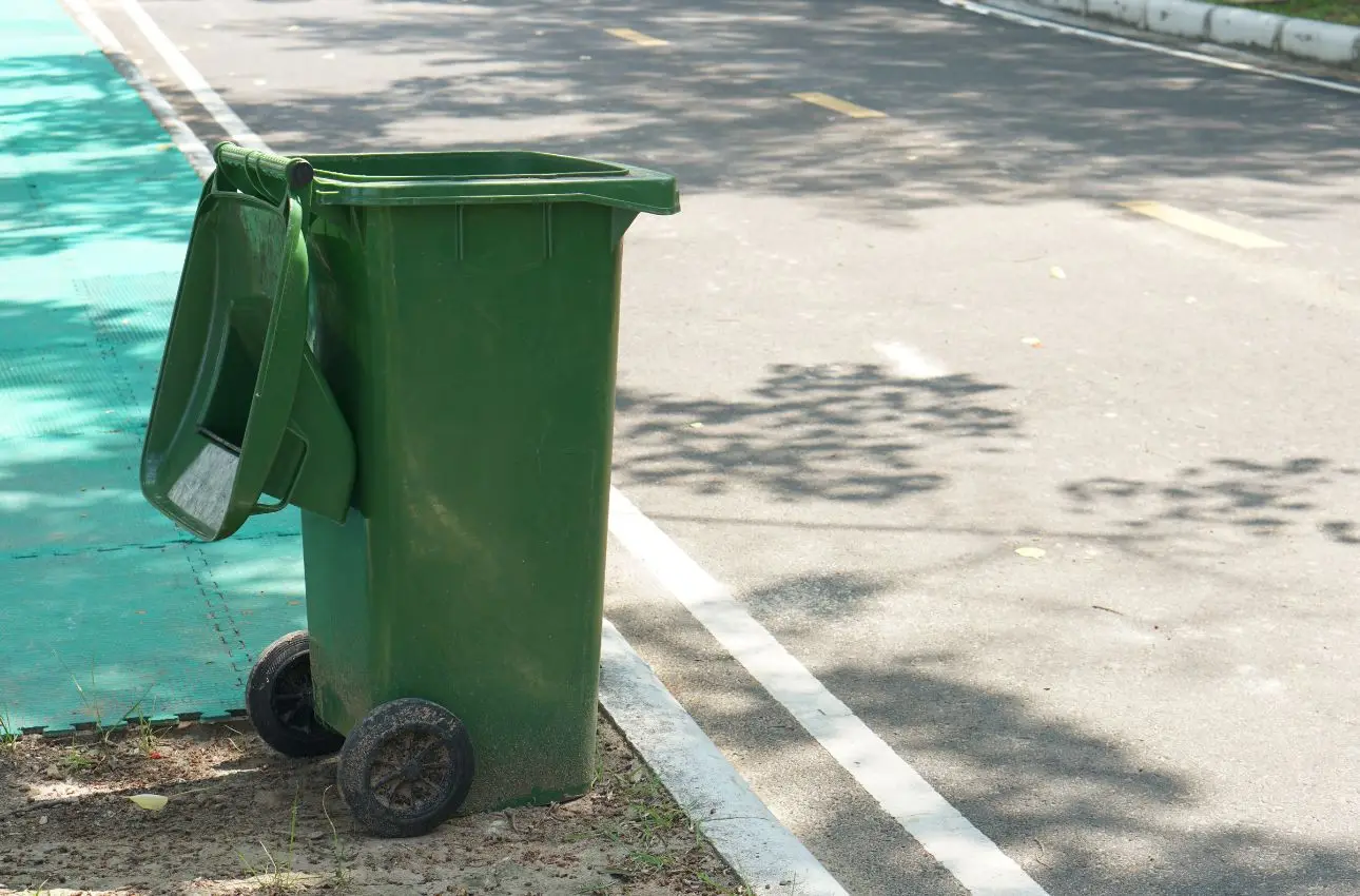 Come prevenire la comparsa di insetti nei cestini della raccolta differenziata: i consigli pratici degli igienisti Come prevenire la comparsa di insetti nei cestini della raccolta differenziata: i consigli pratici degli igienisti