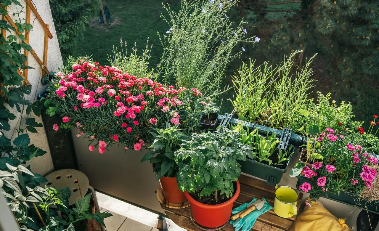 Non lasciare mai questi oggetti sul balcone d’estate: ecco cosa succede Non lasciare mai questi oggetti sul balcone d’estate: ecco cosa succede