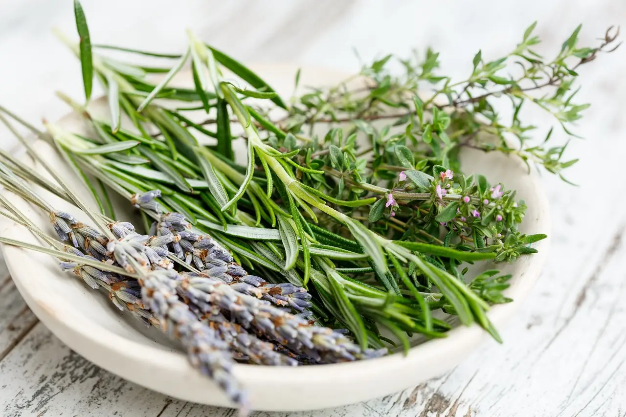 Come profumare la casa con ingredienti naturali: i 3 rimedi più usati in estate Come profumare la casa con ingredienti naturali: i 3 rimedi più usati in estate