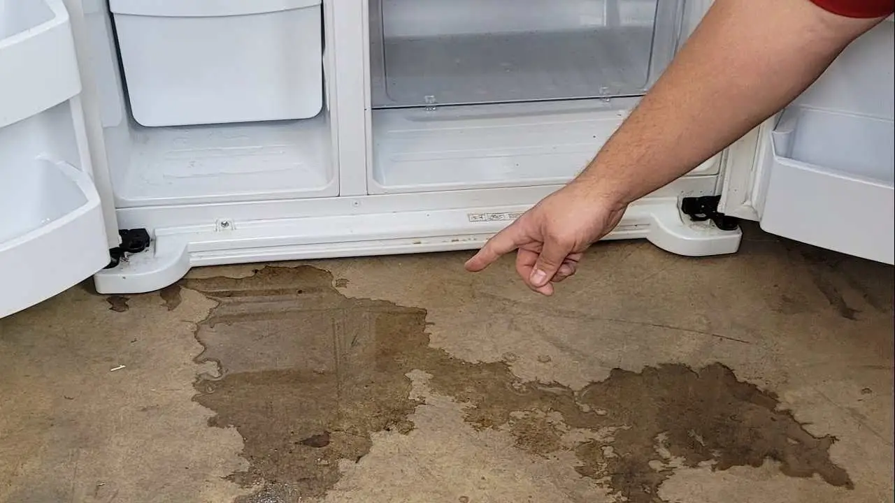 Non conservare questi oggetti in cantina durante l’estate: rischi gravi Non conservare questi oggetti in cantina durante l’estate: rischi gravi