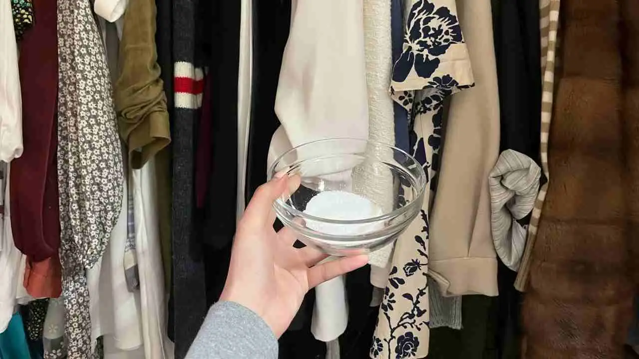 Il trucco per eliminare l’umidità in casa durante l’estate: bastano due ingredienti Il trucco per eliminare l’umidità in casa durante l’estate: bastano due ingredienti
